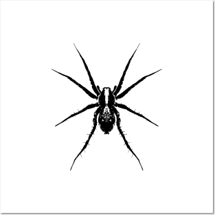 Wolf spider Posters and Art